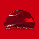HAIR CLIP "BURNY"